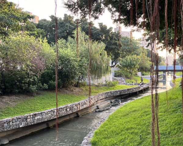 時間流轉，茶塢的這一年｜柳川風裡的回望